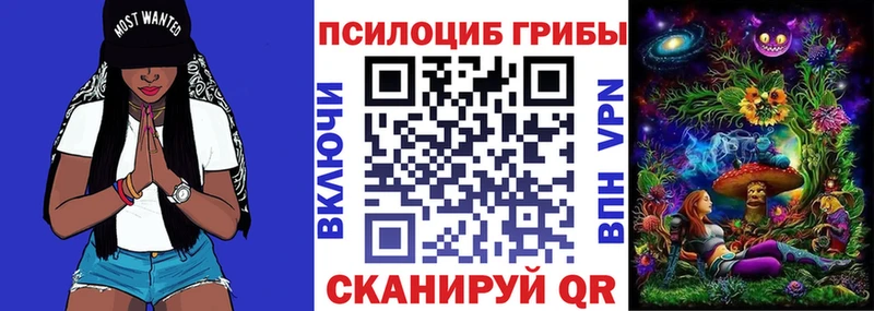 дарнет шоп  Гатчина  Псилоцибиновые грибы Cubensis 